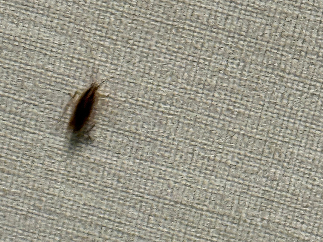 波托马克山Residence Inn 酒店主图