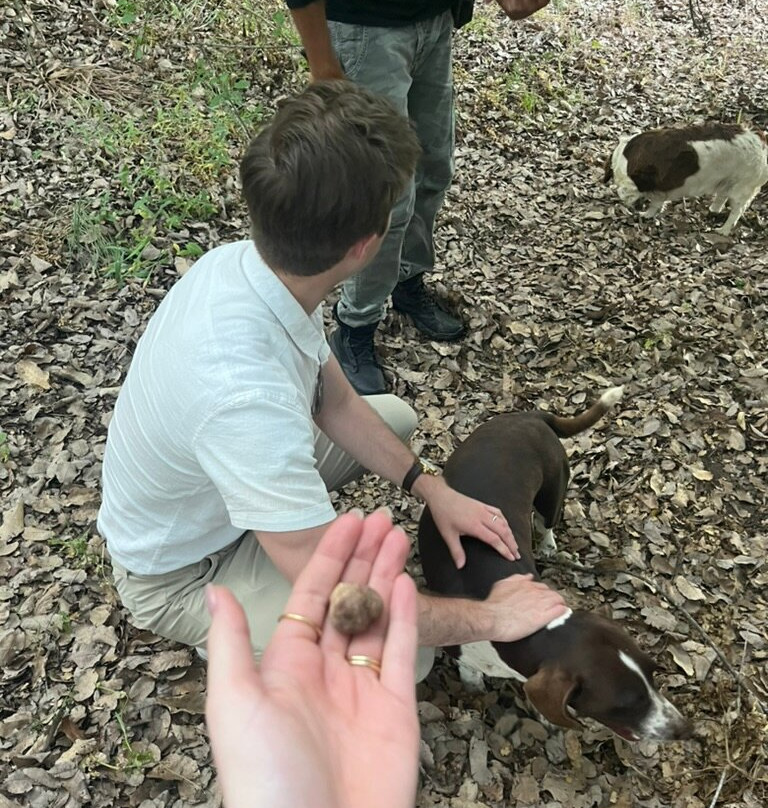 Cyprus Truffles-帕福斯必去景点