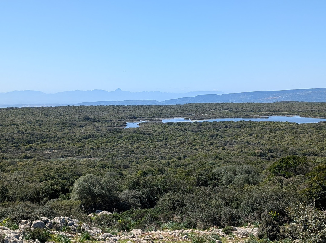 Vivisardinia-Collinas必去景点