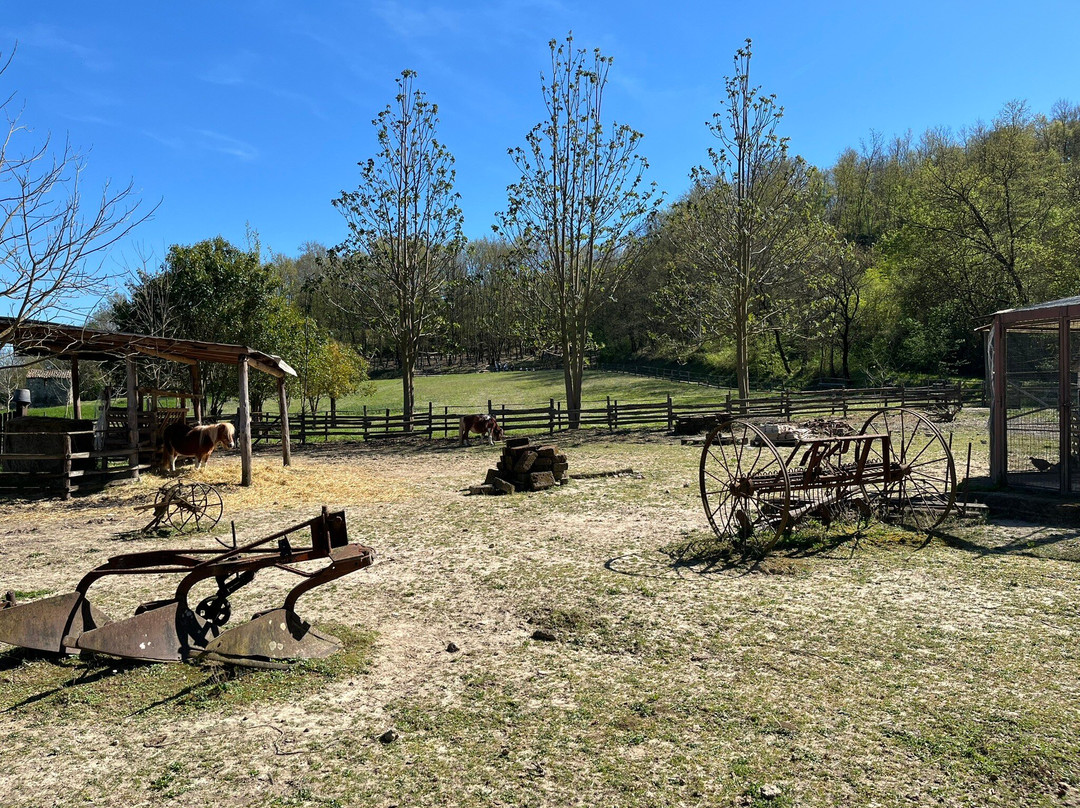 Agrifattoria Didattica Erimari-Orte必去景点