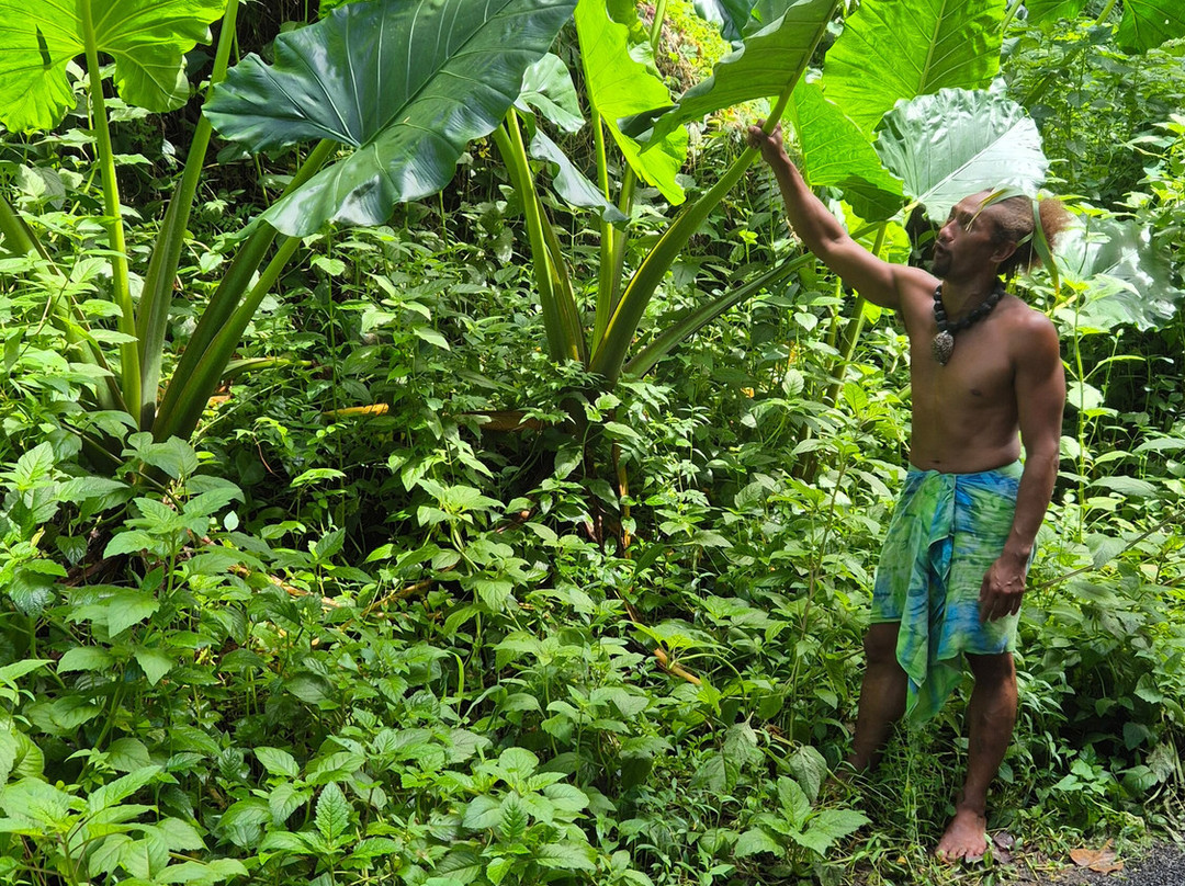 Marama Safari 4x4-法阿必去景点