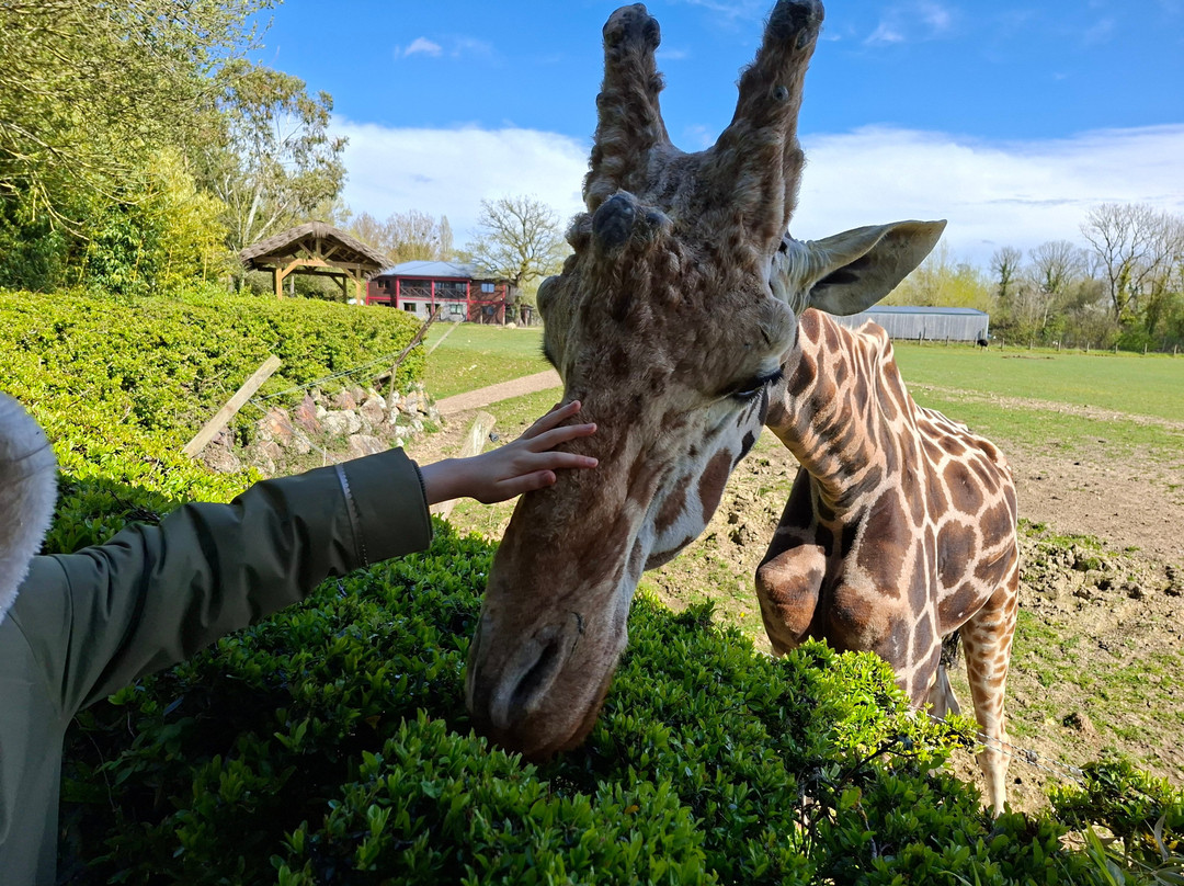 Parc Zoologique Cerza-Hermival-les-Vaux必去景点