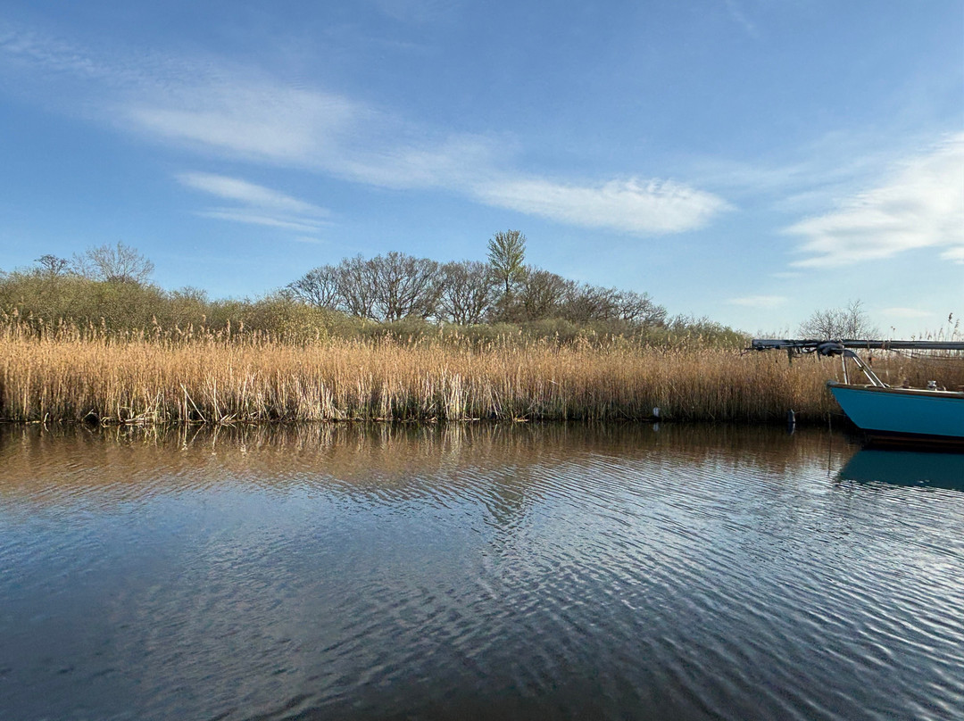 Sutton Staithe Boatyard-Sutton必去景点
