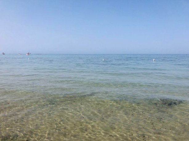 德尔莱万特酒店-官方