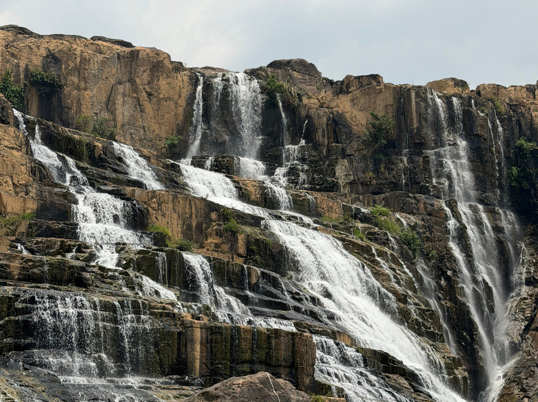 Dalat-cartours-Dalat必去景点