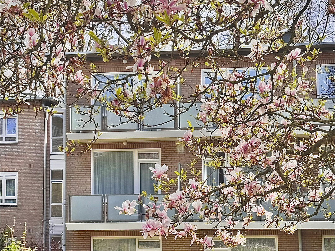 弗莱彻瓦尔蒙特公园酒店主图