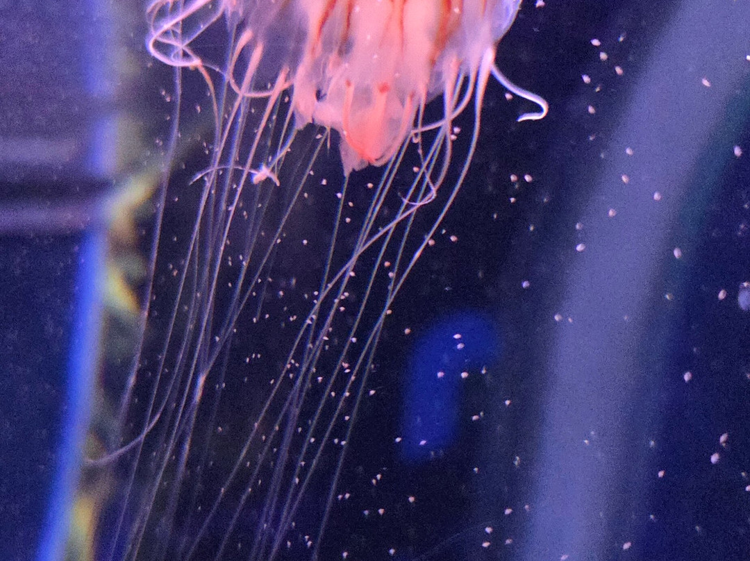 Sea Life Scarborough-斯卡伯勒必去景点