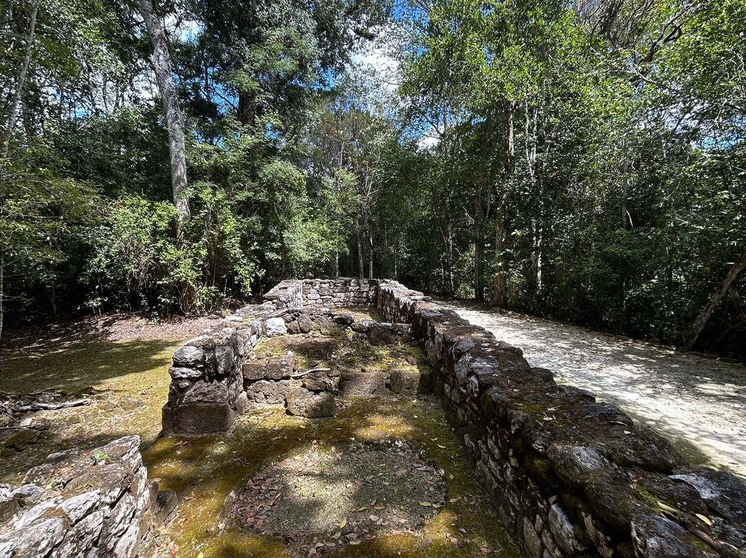 Reserva de la Biosfera de Calakmul-卡拉克穆尔必去景点