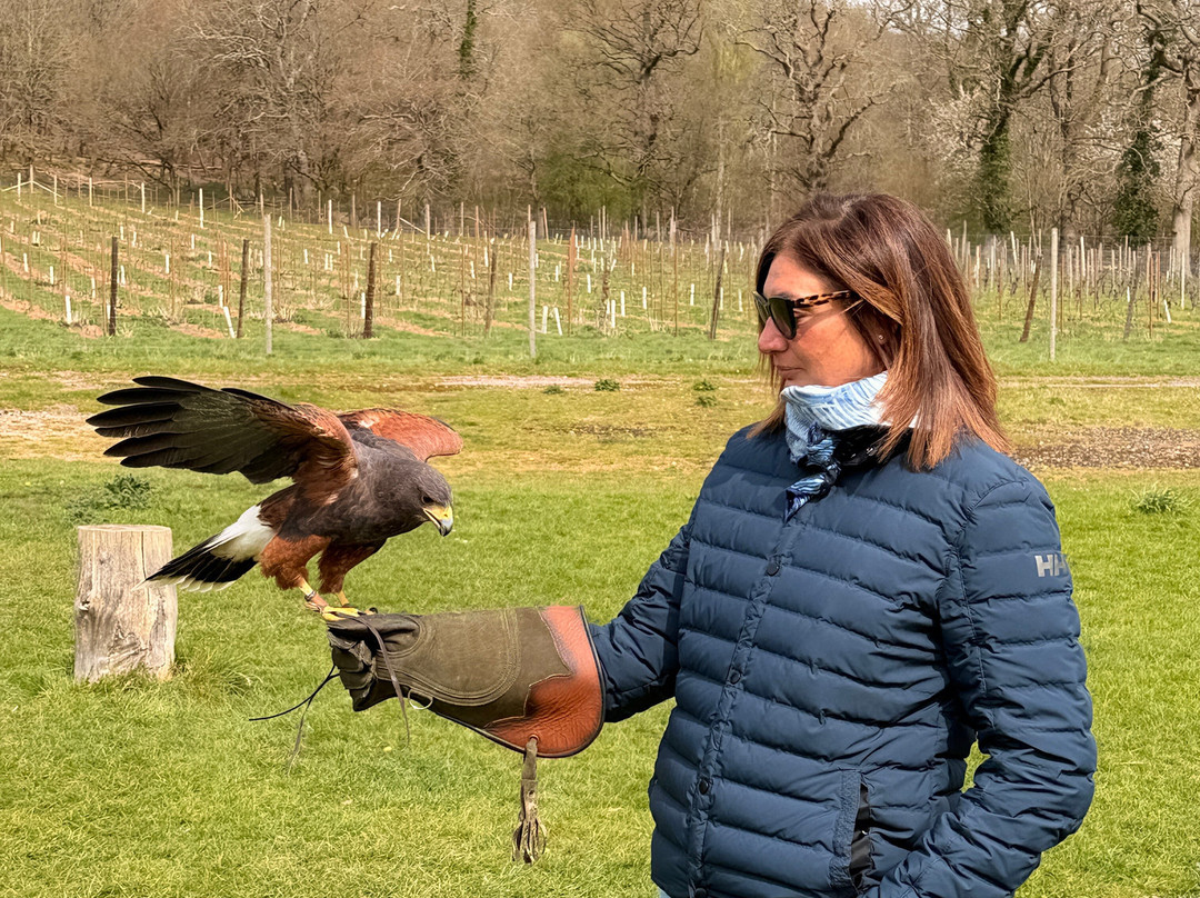 UK Owl And Raptor Centre-Groombridge必去景点