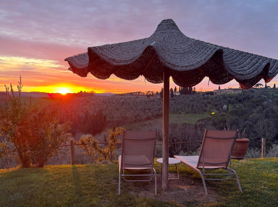 萨尔瓦多妮卡酒店主图