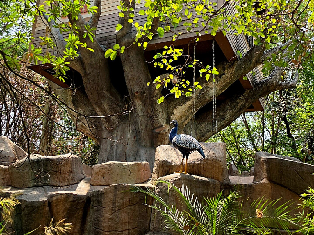 扎斯图彭奇主图