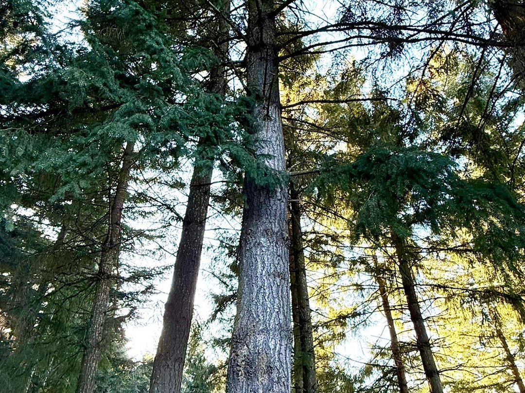 俄勒冈花园度假酒店主图