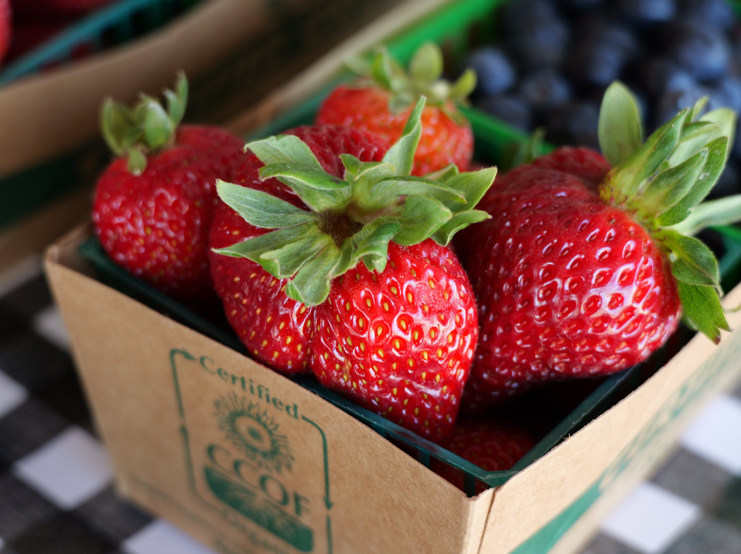 The Farmers Daughter Produce-Brentwood必去景点