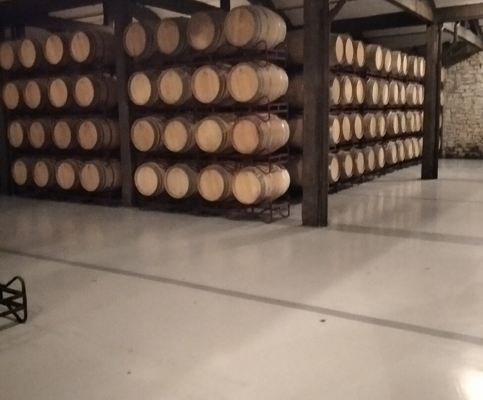 Bodegas Franco Espanolas-洛格罗尼奥必去景点