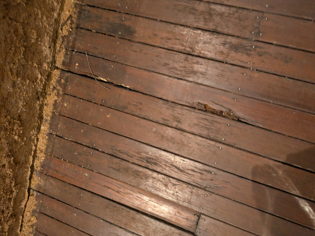 考拉奔度假村主图