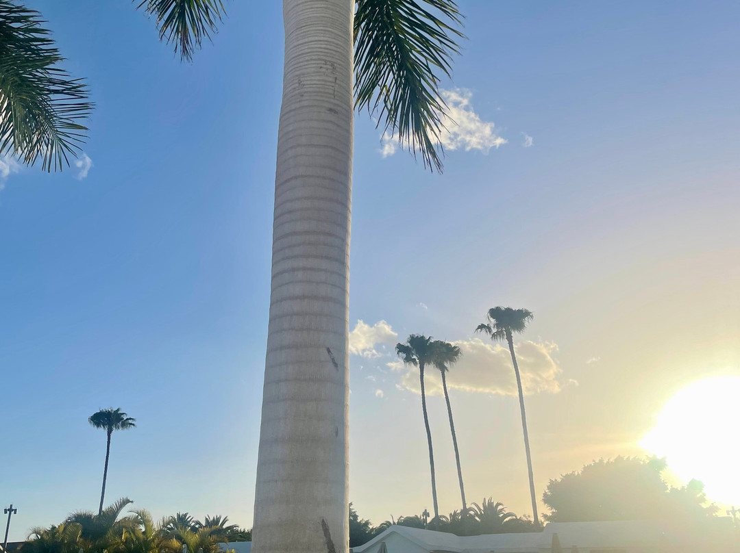 马斯帕洛马斯俱乐部套房酒店及水疗中心 - 限成人主图