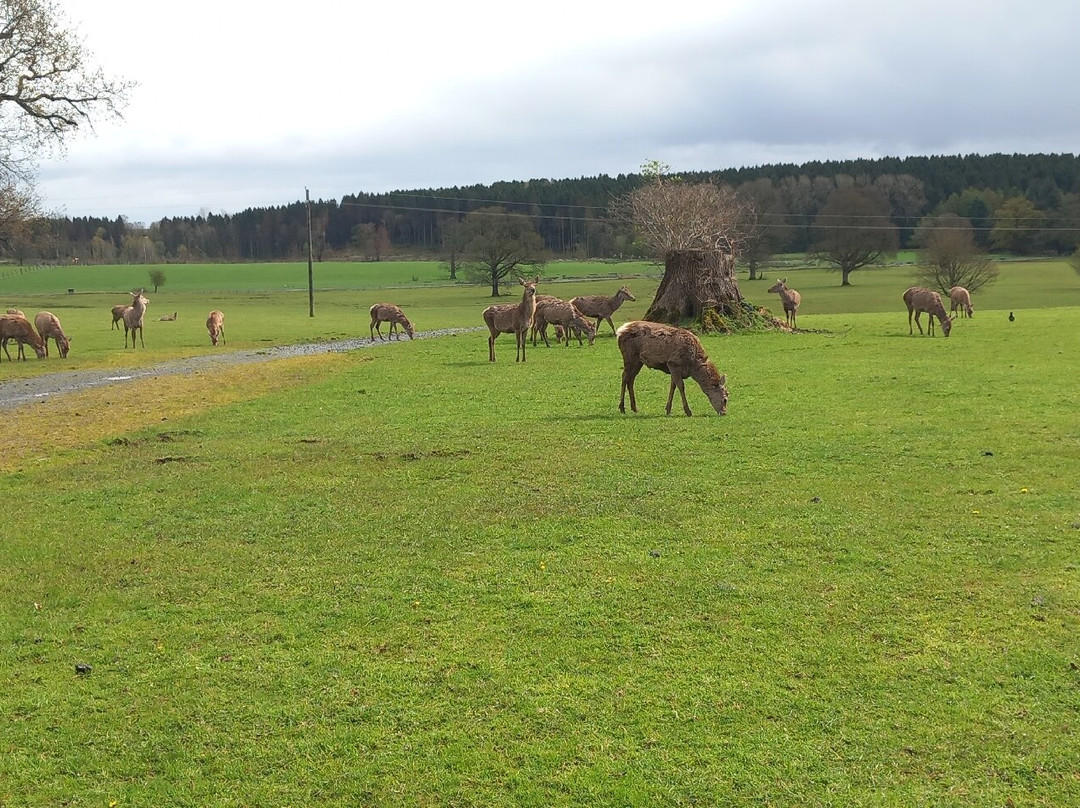 Gosford Forest Park-阿尔马必去景点