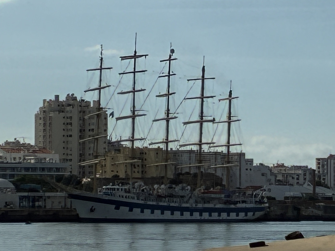 Wildwatch Algarve-费拉古多必去景点