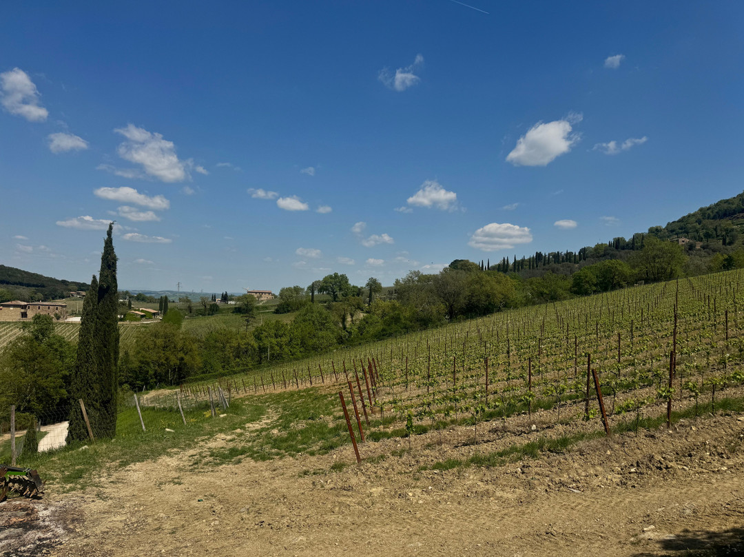 Casanuova delle Cerbaie-蒙塔尔奇诺必去景点