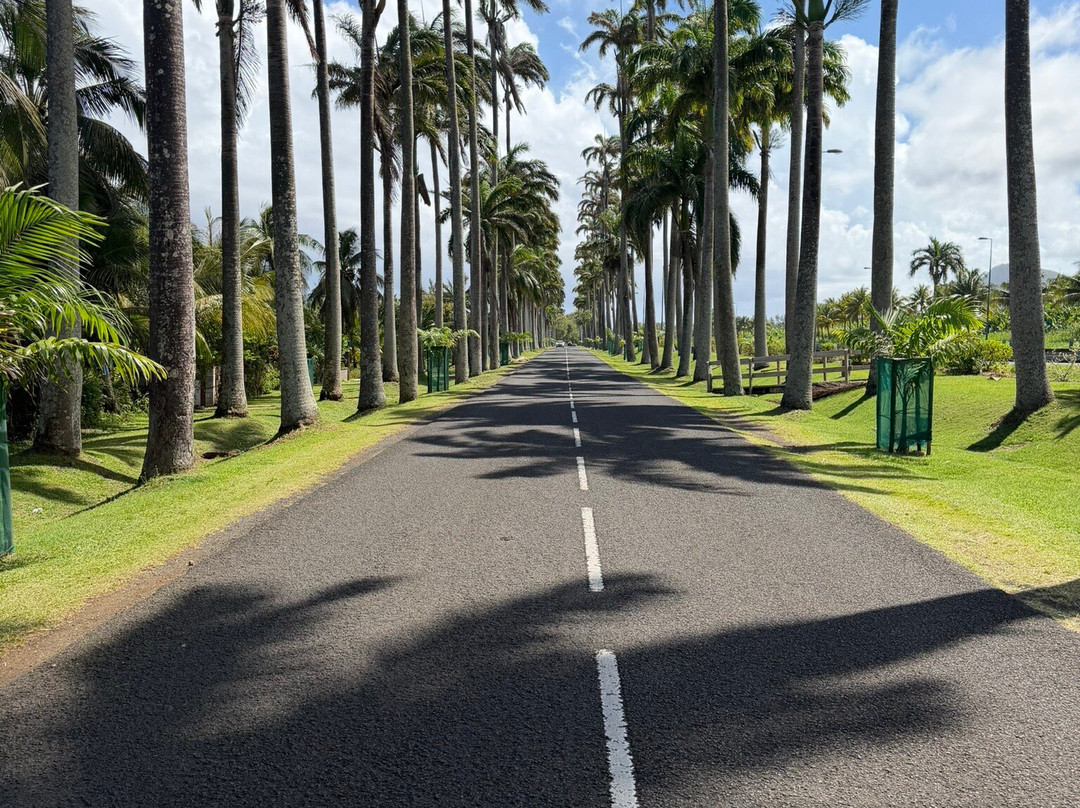卡拉威岛地中海度假村主图