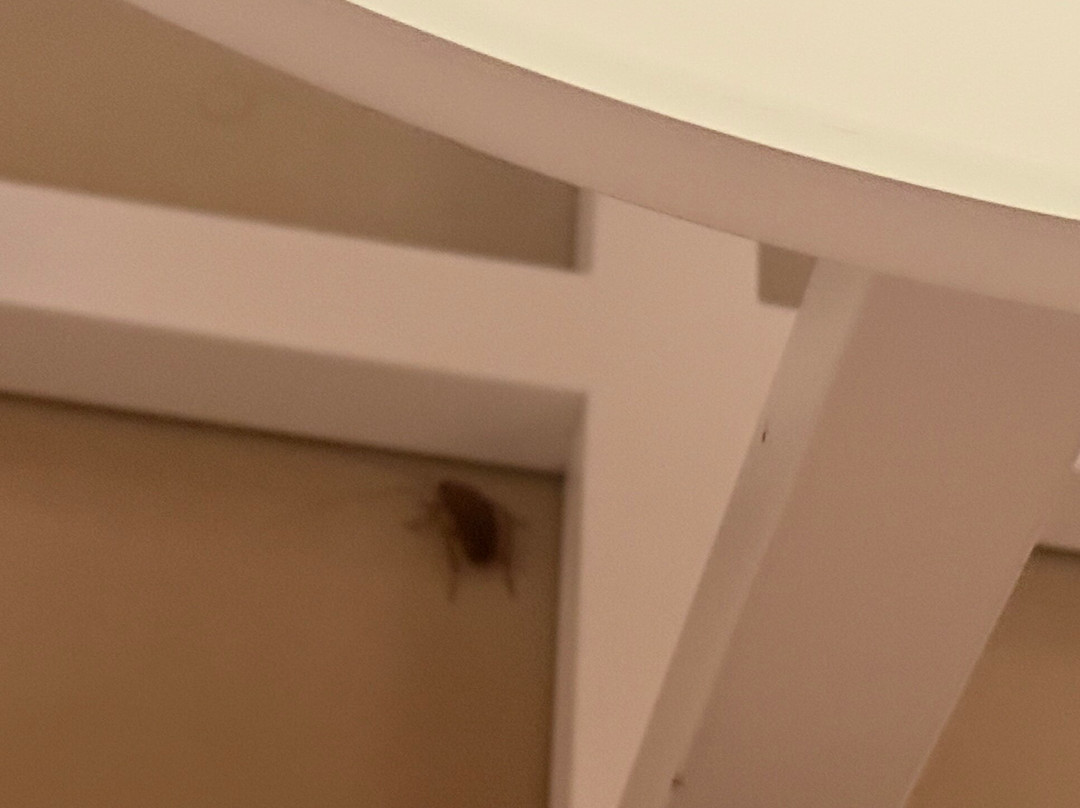 拉克里奥尔海滩酒店及水疗中心主图