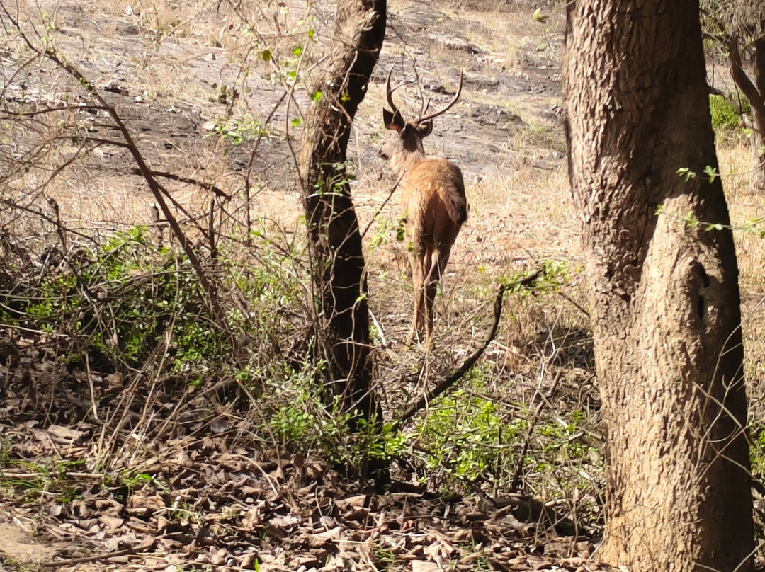 My Rajasthan Trip-斋蒲尔必去景点