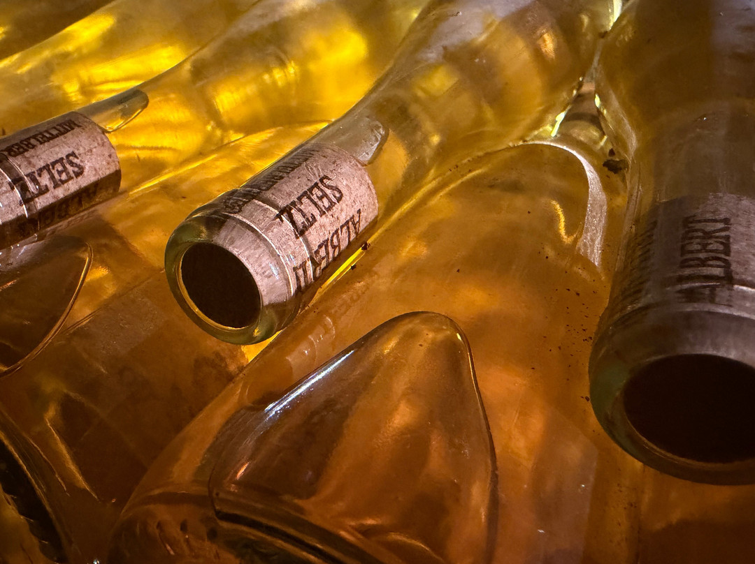 Domaine Albert Seltz-米特贝汉必去景点