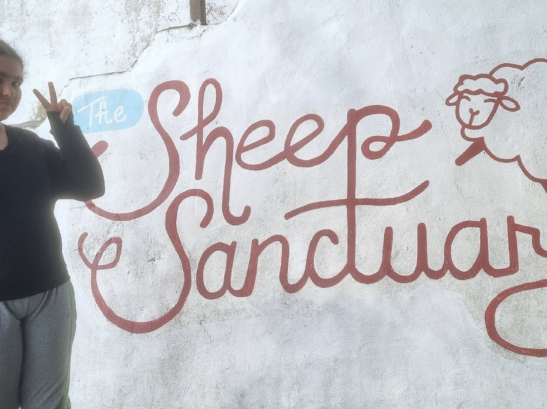 The Sheep Sanctuary-碧兰璋必去景点
