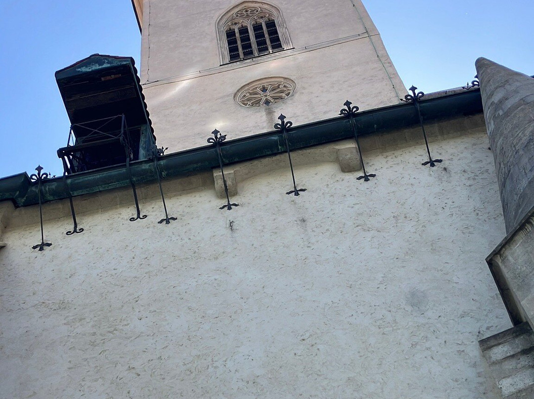 St. Martin´s Cathedral-布拉迪斯拉发必去景点