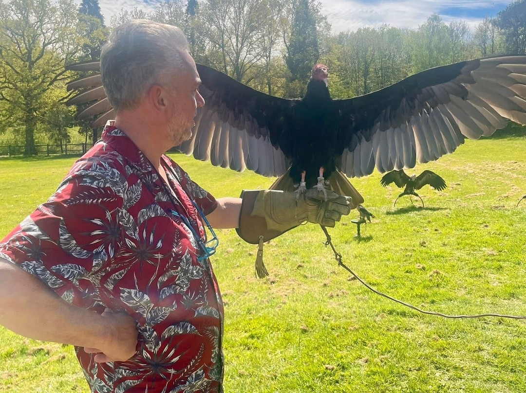 Surrey Hills Falconry-Ockley必去景点