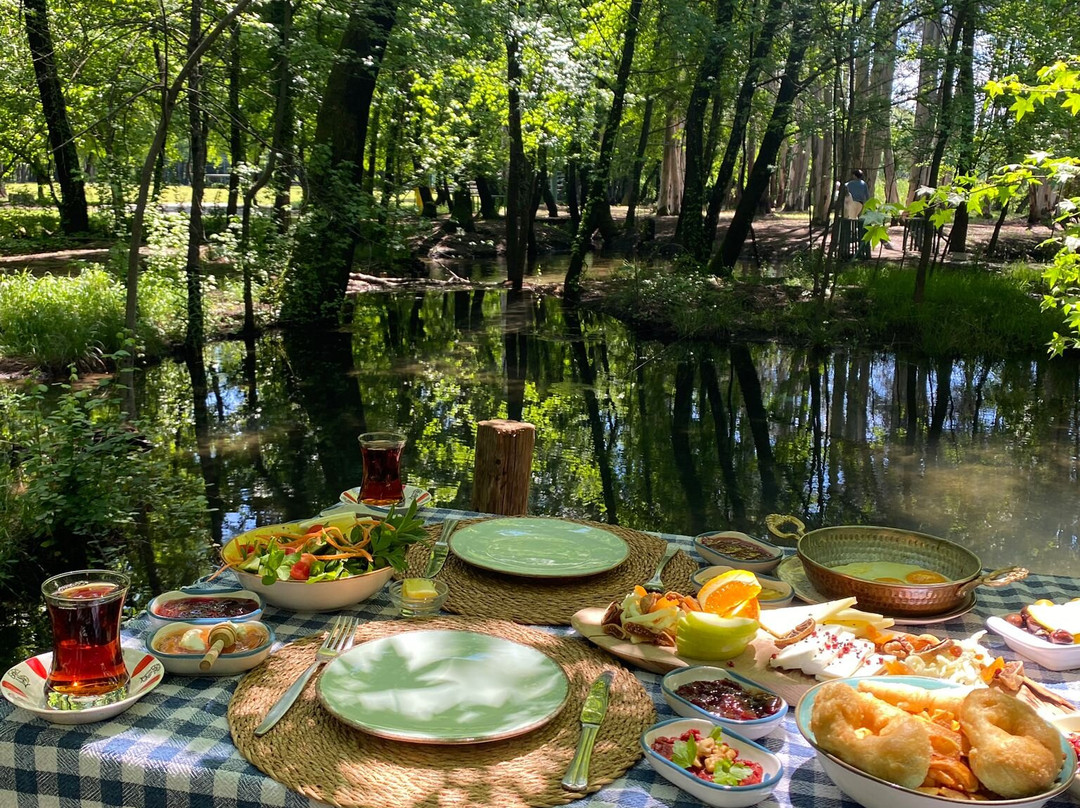 Çatı Yuva Cafe & Restaurant