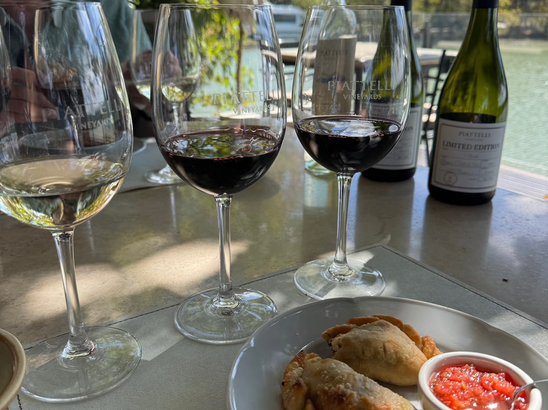 Bodega Piattelli Agrelo, Mendoza-阿格雷洛必去景点
