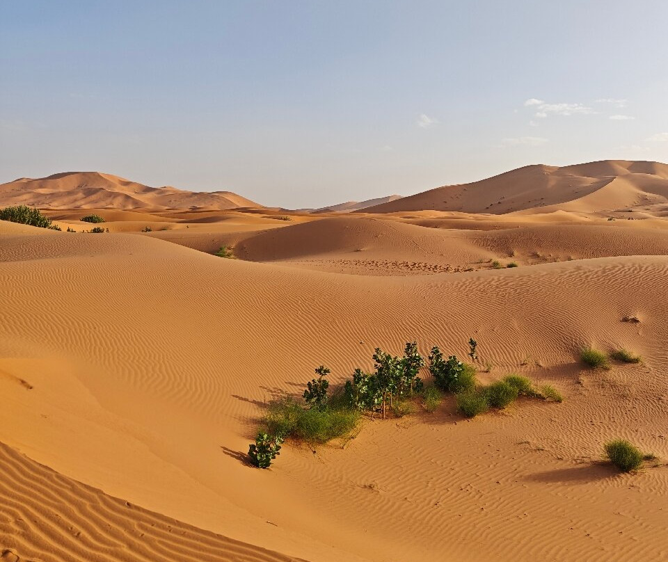 Erg Chebbi Dunes-梅克内斯-塔菲拉勒特区必去景点
