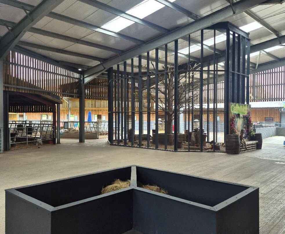Cefn Mably Farm Park-卡迪夫必去景点