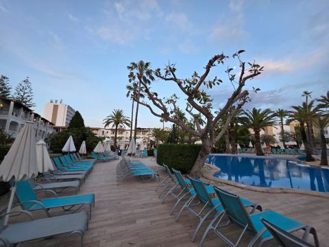 阿尔库迪亚花园公寓式酒店-泳池