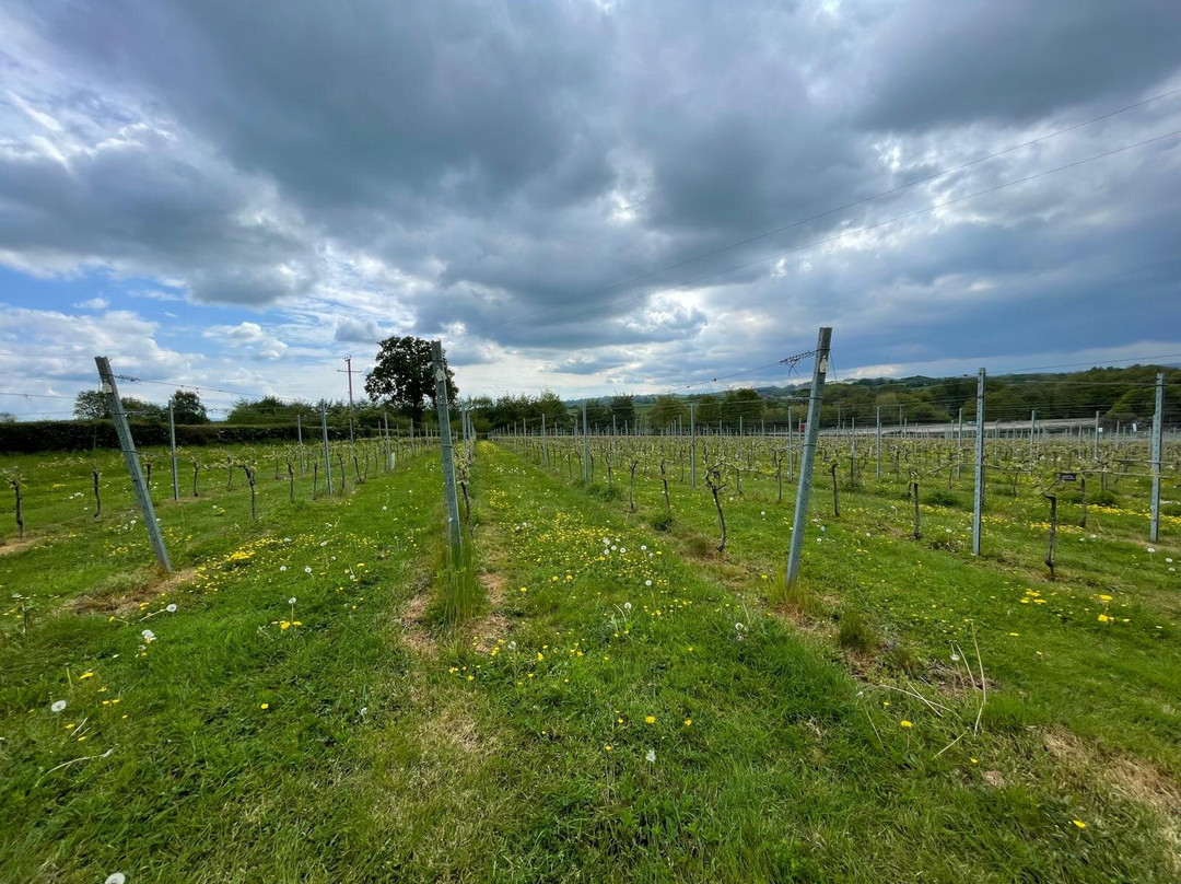 The Dell Vineyard-Raglan必去景点