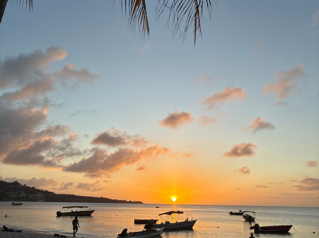 Grand Anse Beach-South Coast必去景点