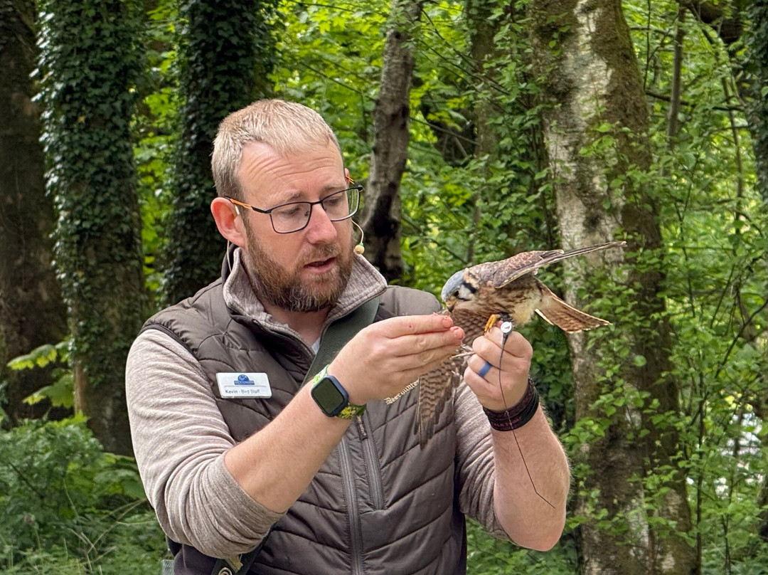 Loch Lomond Bird Of Prey Centre-Balloch必去景点