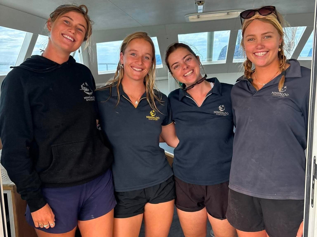 Ningaloo Discovery Whale Shark Tours-埃克斯茅斯必去景点
