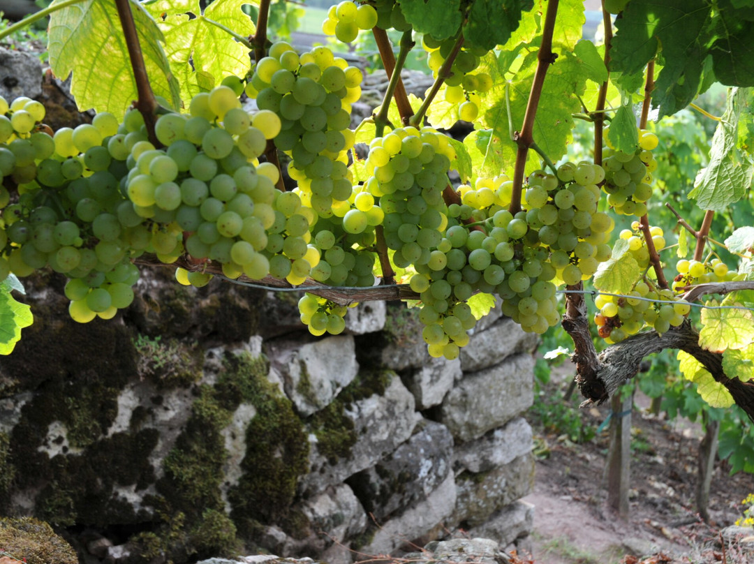 WeinWerk A. Tully