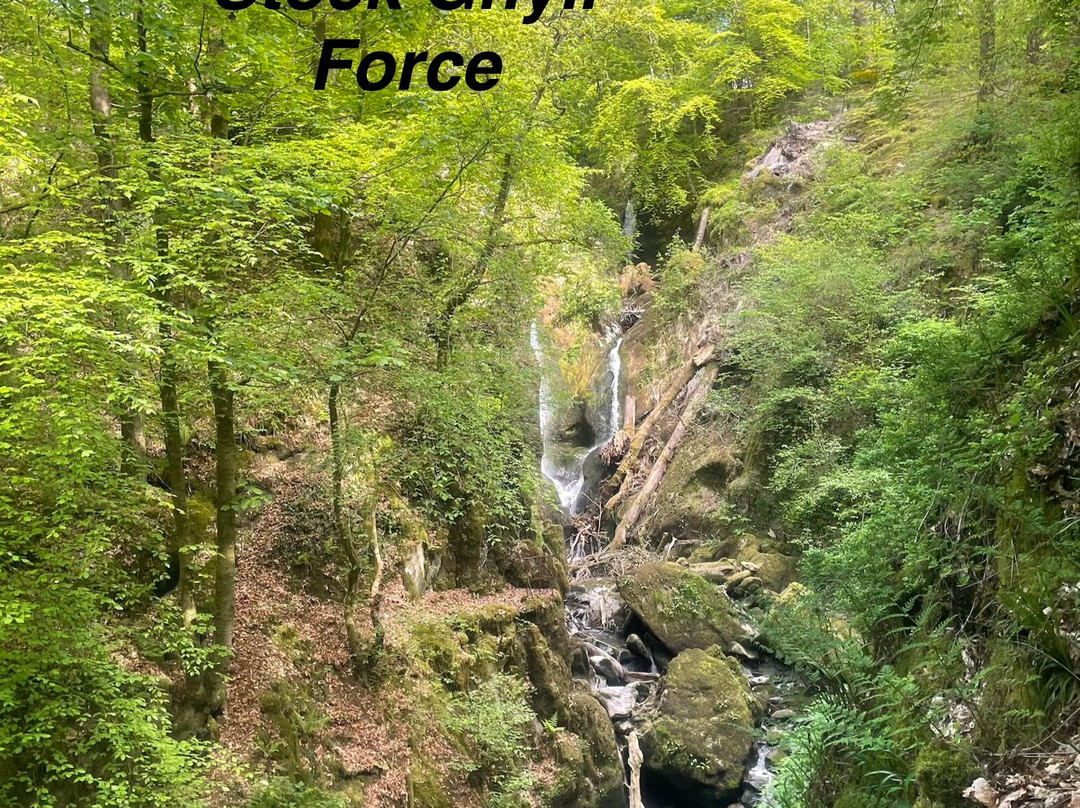 Stock Ghyll Force-安布赛德必去景点