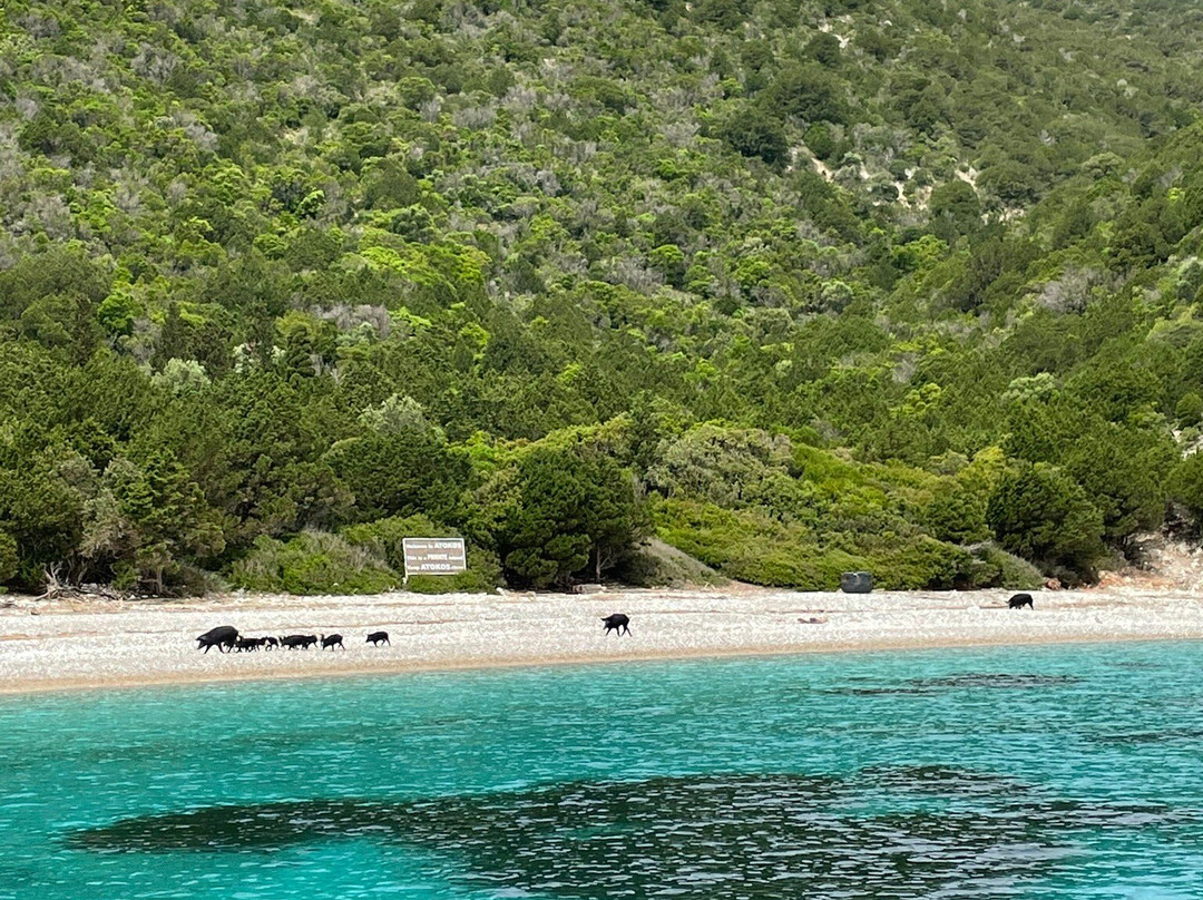 Nisos Yacht Charter-Nidri必去景点