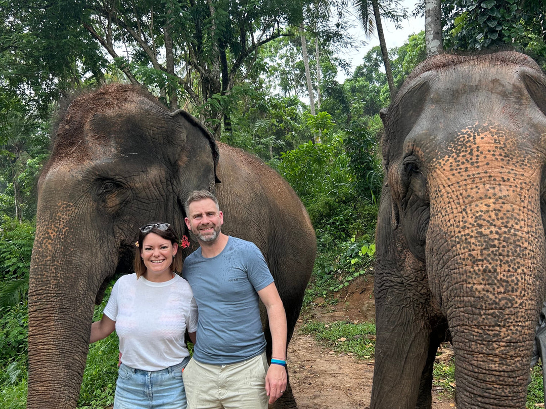 Elephant Freedom Project-凯格勒 必去景点