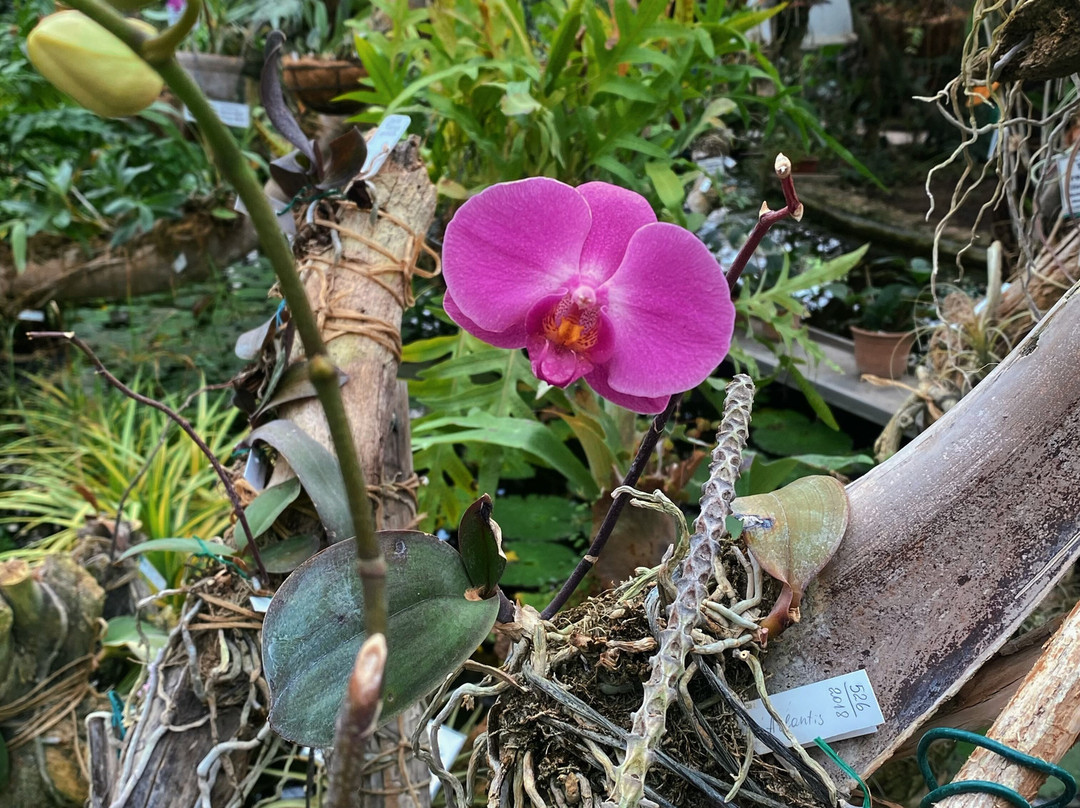 Siberian Botanical Garden-托木斯克必去景点