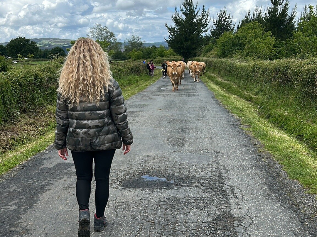 Camino de Santiago-圣地亚哥德孔波斯特拉必去景点