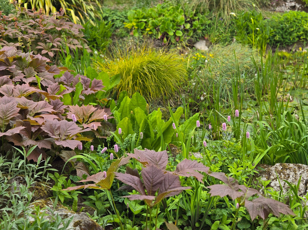 Caher Bridge Garden-Ballyvaughan必去景点