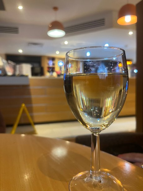 温莎斯劳假日酒店-旅行者