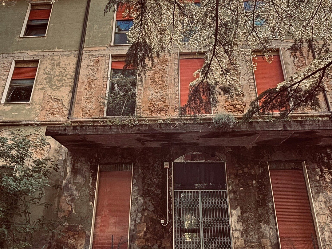 Manicomio di Volterra-沃尔泰拉必去景点