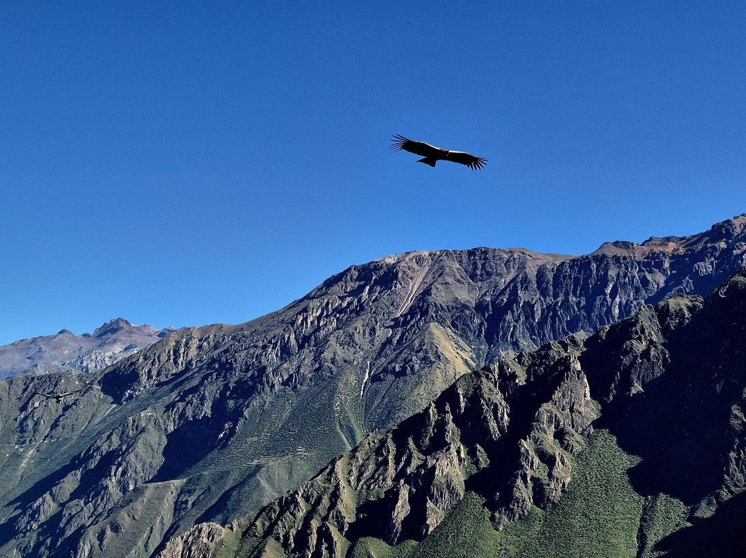 Mirador Cruz del Condor-Cabanaconde必去景点