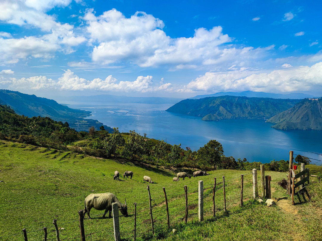 Lake Toba-North Sumatra必去景点